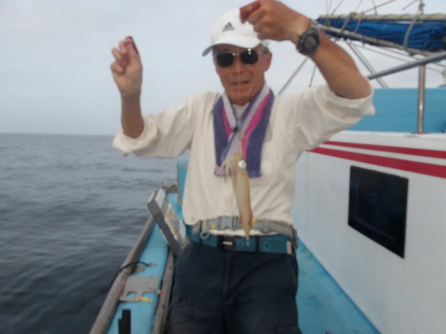 マルイカ(ケンサキイカ)