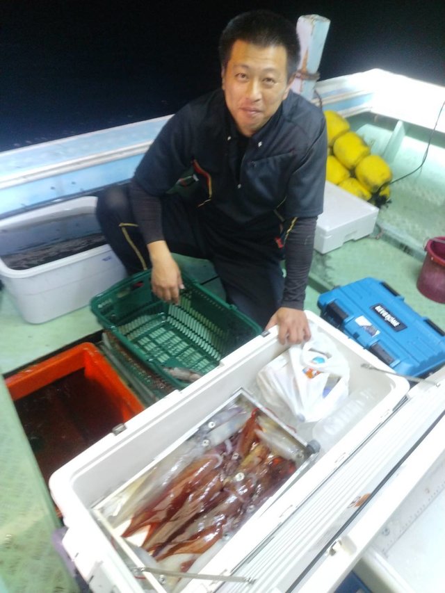 イカ(ケンサキイカ)