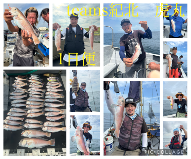 アオハタ・シロアマダイ・イトヨリ(イトヨリダイ)・ソコイトヨリ