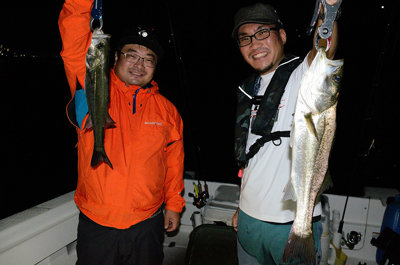 シーバス(スズキ)