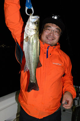 シーバス(スズキ)