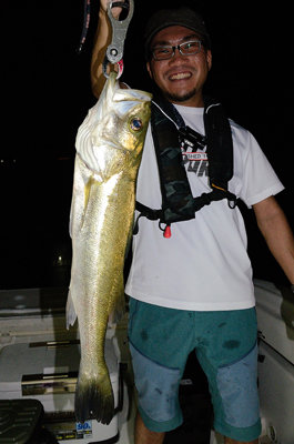 シーバス(スズキ)