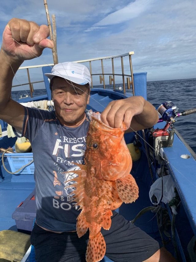 オキカサゴ(ウッカリカサゴ)