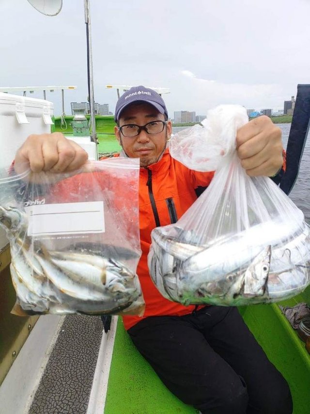 アジ(マアジ)・タチウオ