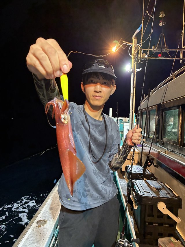 アカイカ(ケンサキイカ)