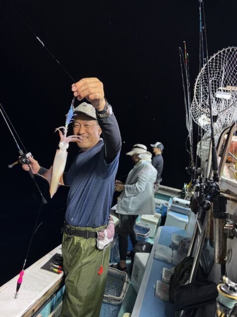 マイカ(ケンサキイカ)