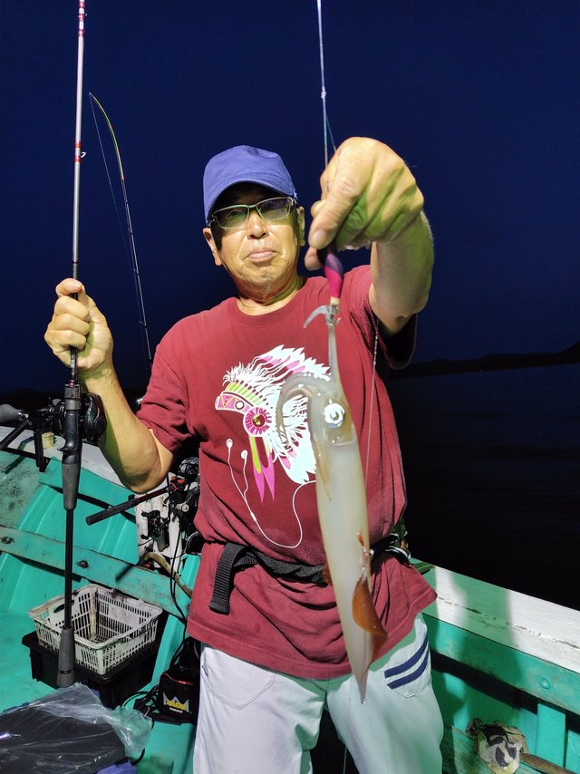 シロイカ(ケンサキイカ)