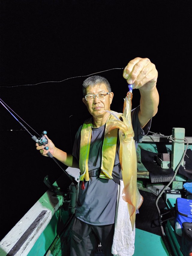 シロイカ(ケンサキイカ)