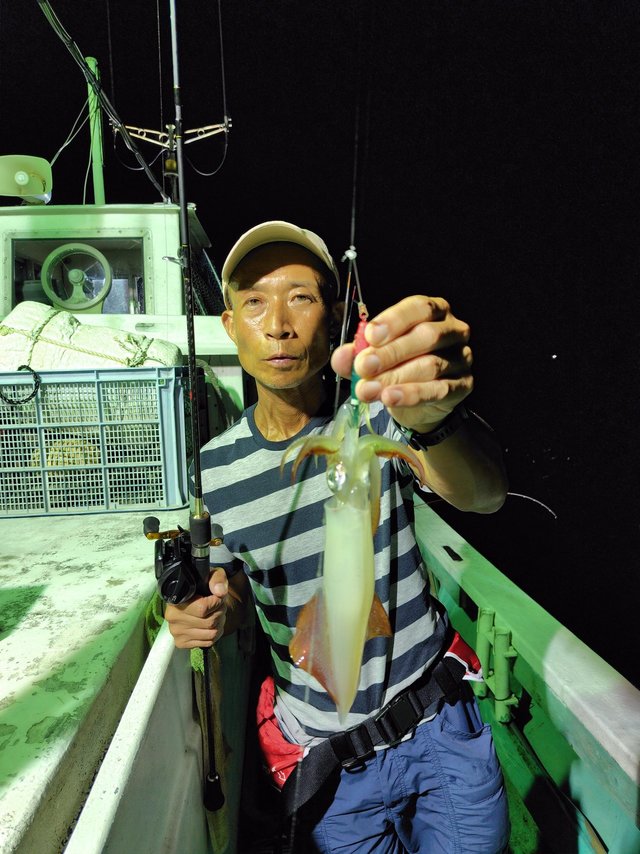 シロイカ(ケンサキイカ)