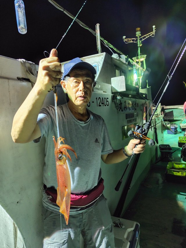 シロイカ(ケンサキイカ)