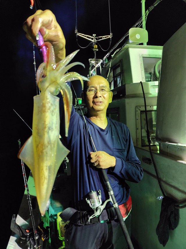 シロイカ(ケンサキイカ)