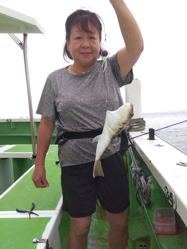 フグ(ショウサイフグ)