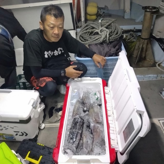 イカ(ヤリイカ)