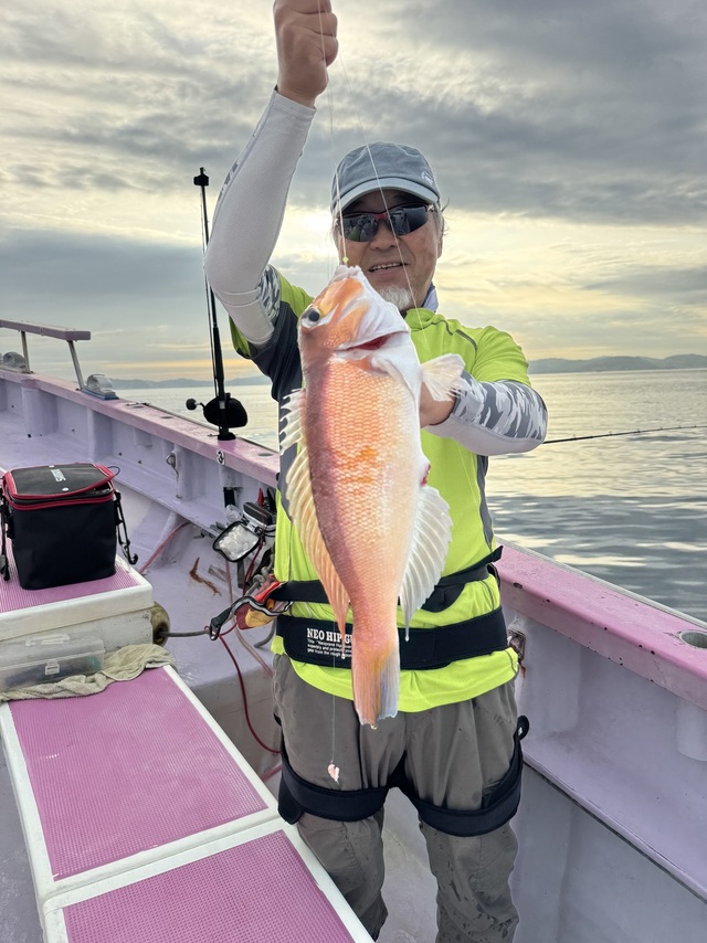 アマダイ(アカアマダイ)