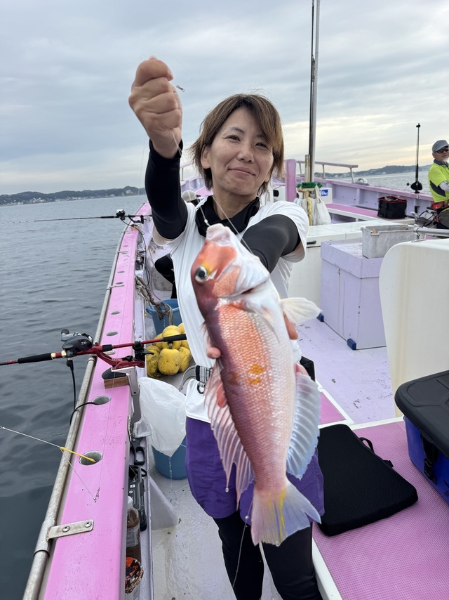 アマダイ(アカアマダイ)