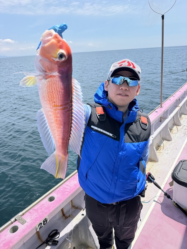 アマダイ(アカアマダイ)