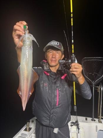 マイカ(ケンサキイカ)