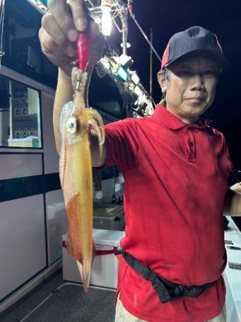 マイカ(ケンサキイカ)