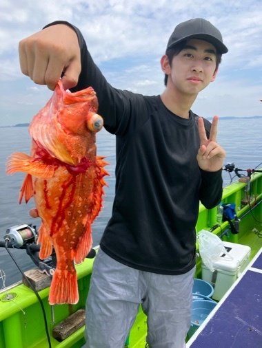 カンコ(ウッカリカサゴ)