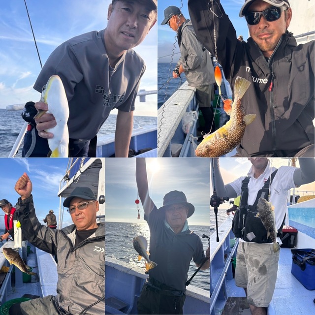 ショウサイフグ