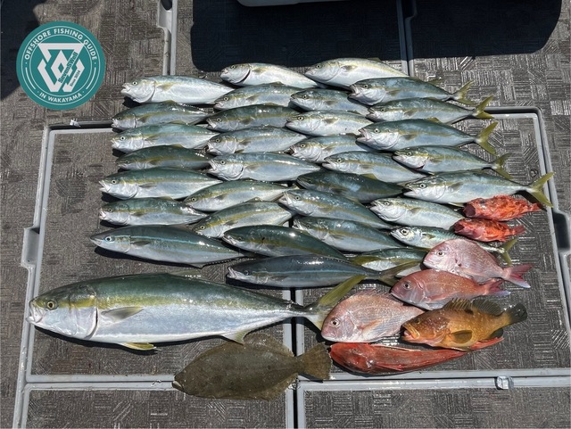 タイ(マダイ)・アコウ(キジハタ)・ブリ・ツバス(ブリ)・ヒラメ