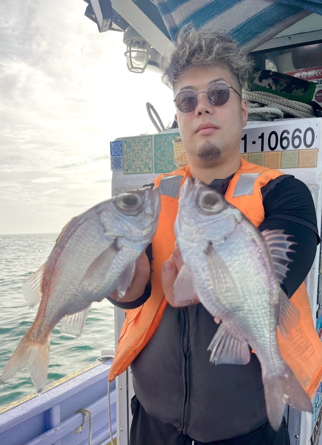 シロムツ(オオメハタ)