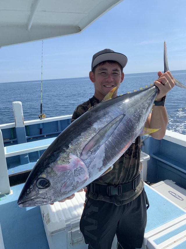 キハダマグロ(キハダ)