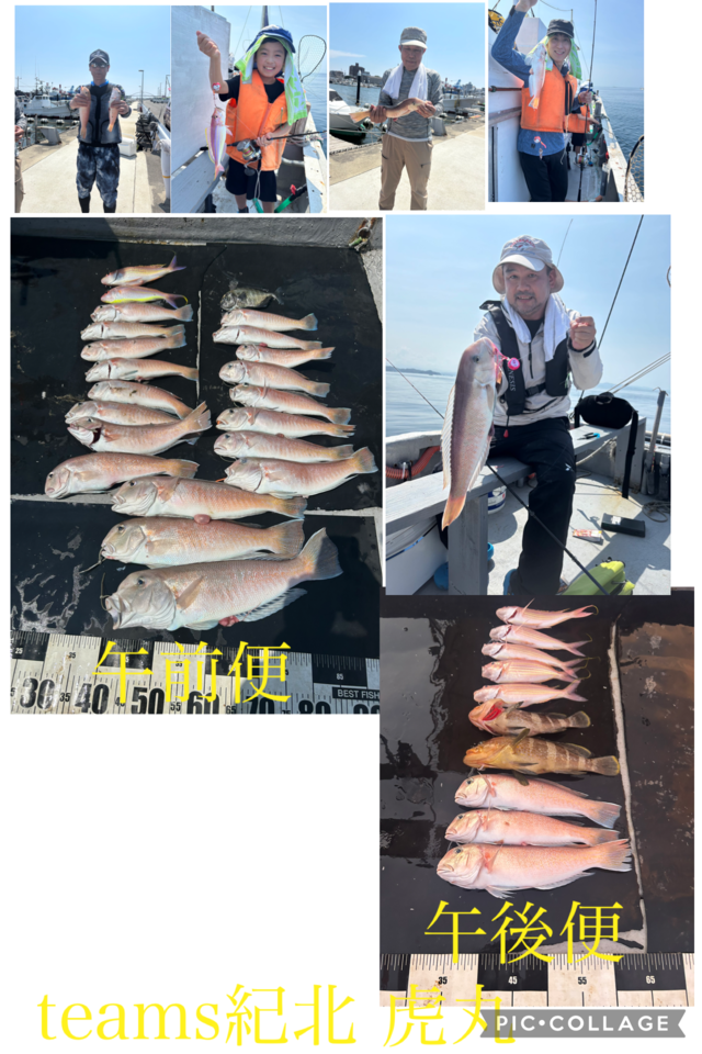 アオハタ・オキアジ・シロアマダイ・イトヨリ(イトヨリダイ)・ソコイトヨリ