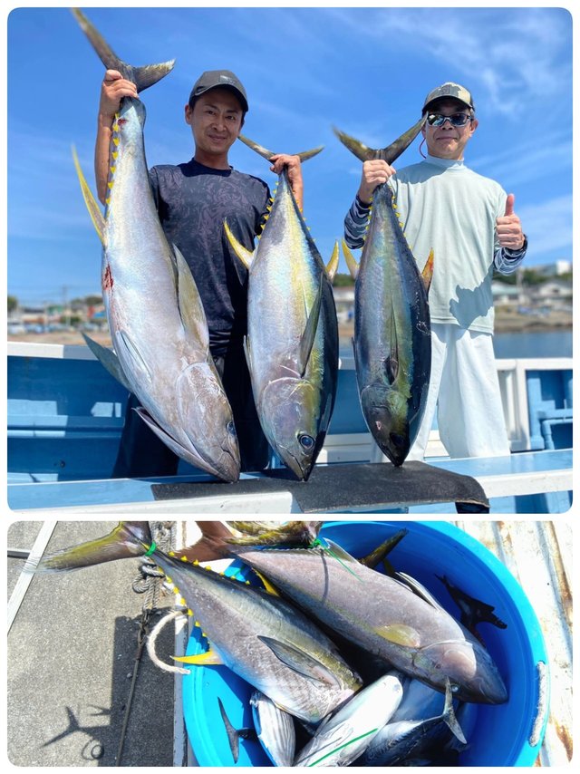 キハダマグロ(キハダ)