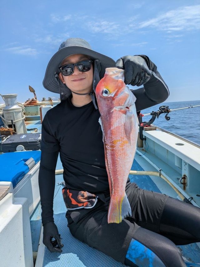 アマダイ(アカアマダイ)