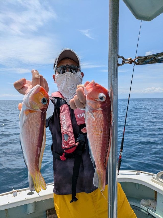 アマダイ(アカアマダイ)