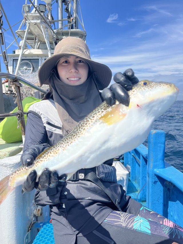 ショウサイフグ