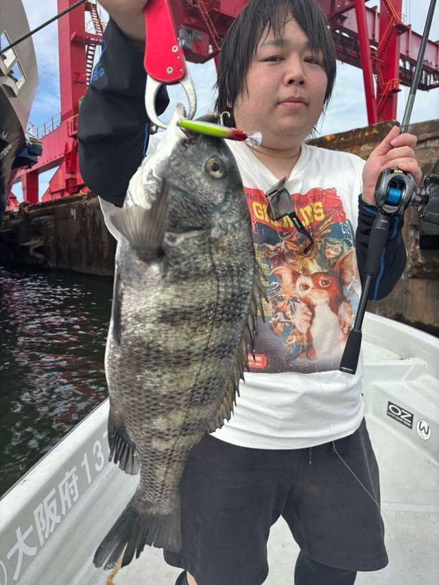 マチヌ(クロダイ)