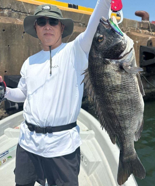 マチヌ(クロダイ)