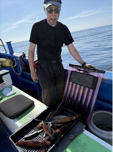 スルメ(スルメイカ)