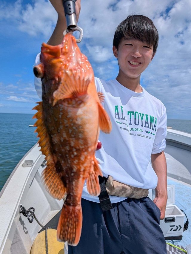 ウッカリカサゴ