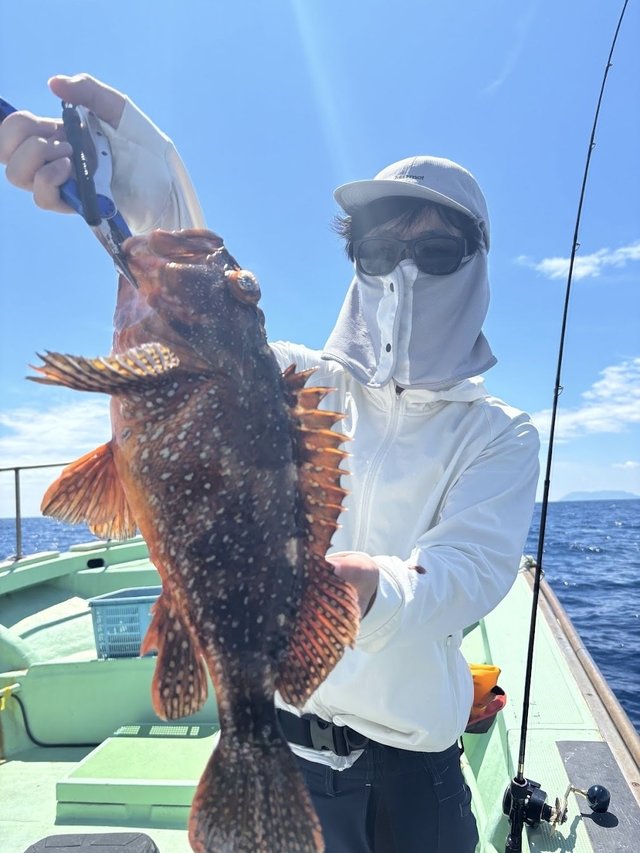 ウッカリカサゴ