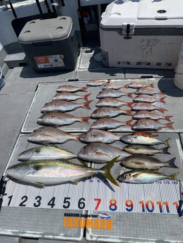 マダイ・アジ(マアジ)・ブリ・ハマチ(ブリ)・イサキ