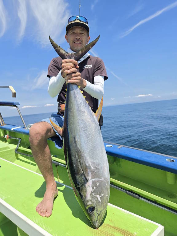 キハダマグロ(キハダ)