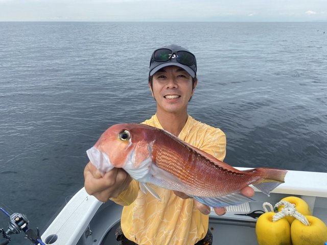 アマダイ(アカアマダイ)