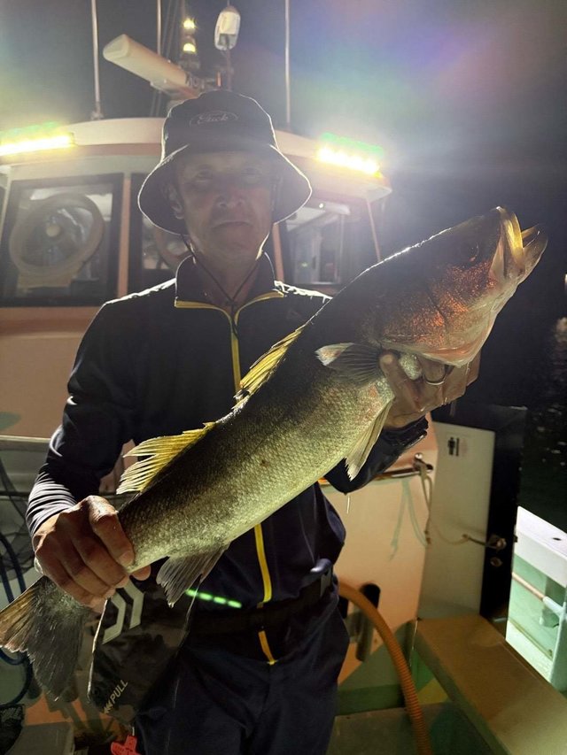 マダカ(スズキ)