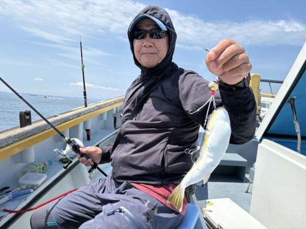 ショウサイフグ