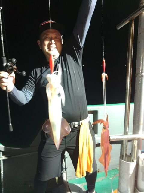 イカ(ヤリイカ)