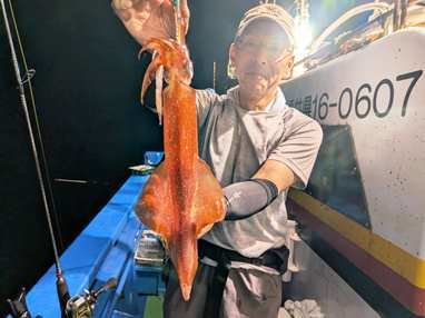 マイカ(ケンサキイカ)