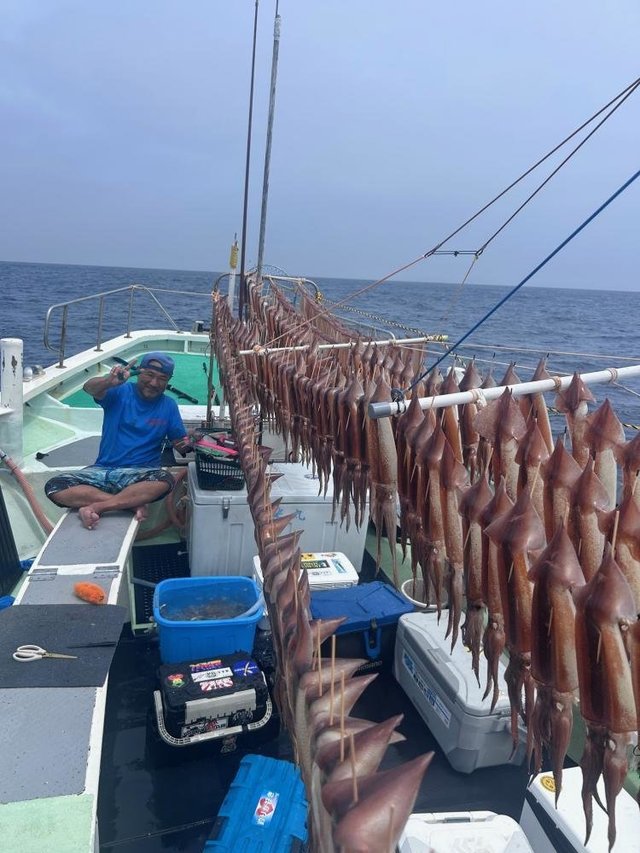 スルメ(スルメイカ)