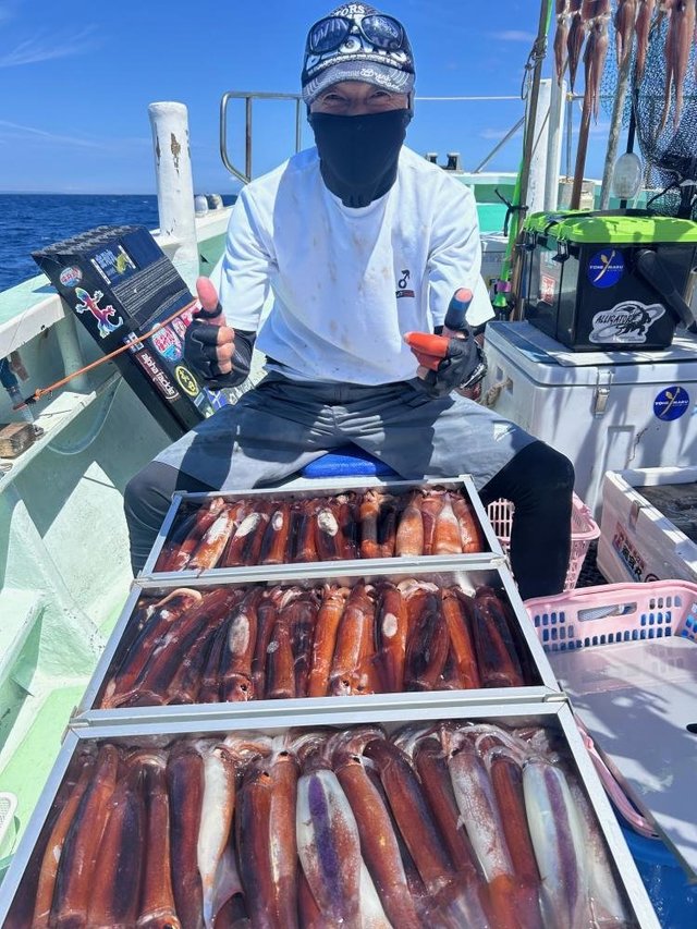 スルメ(スルメイカ)