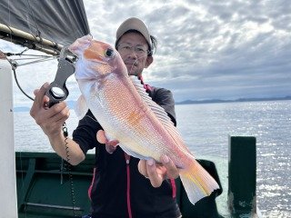 アマダイ(アカアマダイ)