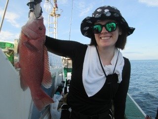 カンダイ(コブダイ)