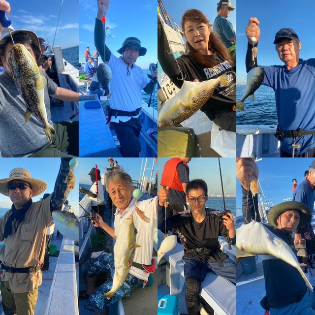 ショウサイフグ