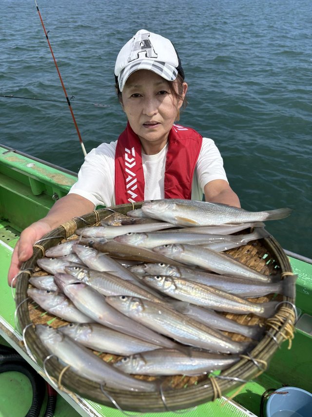 キス(シロギス)